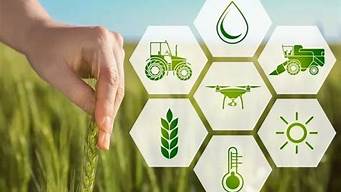 尊龙凯时 - 农业科技创新与人工智能融合：助推农业现代化与农村振兴(农业走科技化